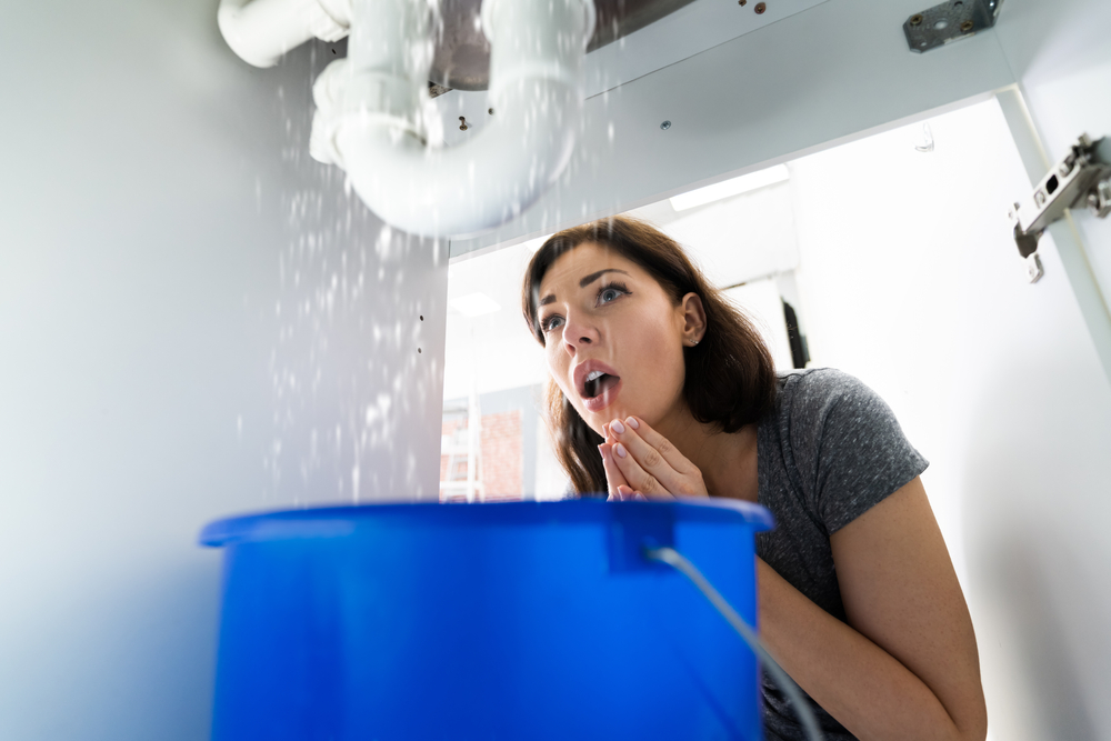 Does Homeowners Insurance Coverage Reimburse for Bathroom Leaks?