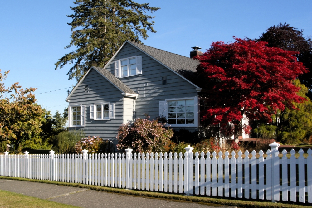 Fence Contractor